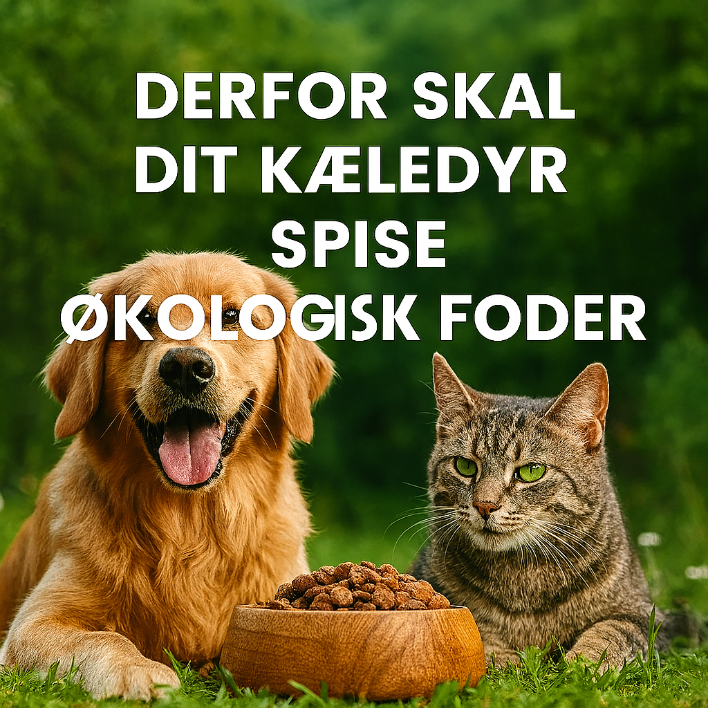 Derfor skal dit kæledyr spise økologisk foder